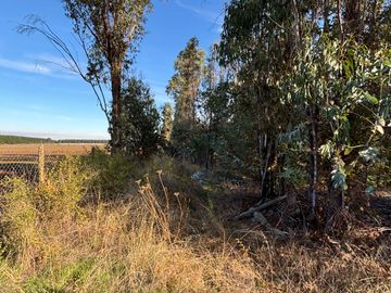 Vende Parcela terreno 5.500 m2 sector oro verde km 8 camino interior junta de vecino sol de chillan