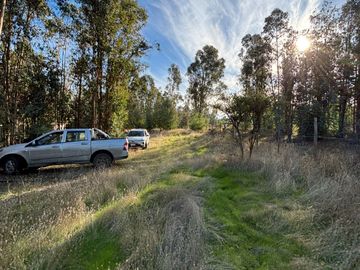 Vende Parcela terreno 5.500 m2 sector oro verde km 8 camino interior junta de vecino sol de chillan