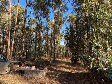 Vende Parcela terreno 5.500 m2 sector oro verde km 8 camino interior junta de vecino sol de chillan