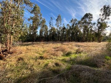Vende Parcela terreno 5.500 m2 sector oro verde km 8 camino interior junta de vecino sol de chillan