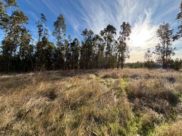 Vende Parcela terreno 5.500 m2 sector oro verde km 8 camino interior junta de vecino sol de chillan