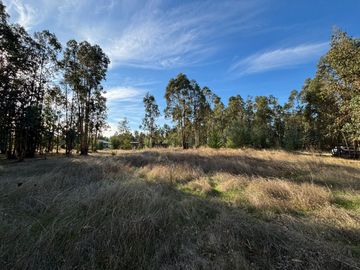 Vende Parcela terreno 5.500 m2 sector oro verde km 8 camino interior junta de vecino sol de chillan