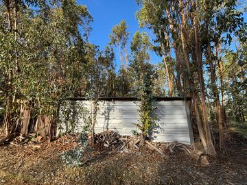 Vende Parcela terreno 5.500 m2 sector oro verde km 8 camino interior junta de vecino sol de chillan