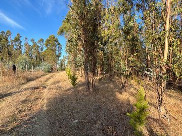 Vende Parcela terreno 5.500 m2 sector oro verde km 8 camino interior junta de vecino sol de chillan