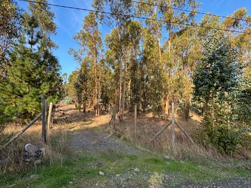 Vende Parcela terreno 5.500 m2 sector oro verde km 8 camino interior junta de vecino sol de chillan
