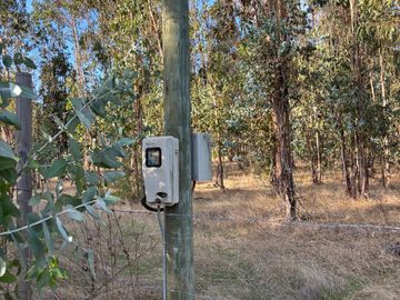 Vende Parcela terreno 5.500 m2 sector oro verde km 8 camino interior junta de vecino sol de chillan