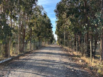 Vende Parcela terreno 5.500 m2 sector oro verde km 8 camino interior junta de vecino sol de chillan