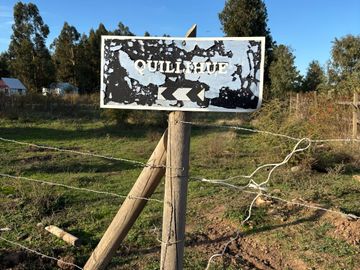 Vende Parcela terreno 5.500 m2 sector oro verde km 8 camino interior junta de vecino sol de chillan