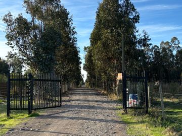 Vende Parcela terreno 5.500 m2 sector oro verde km 8 camino interior junta de vecino sol de chillan