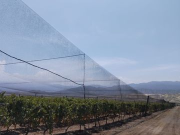 TERRENO AGRICOLA DE ALTA RENTABILIDAD CON RIEGO TECNIFICADO Y SUBESTACION PROPIA