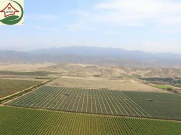 TERRENO AGRICOLA DE ALTA RENTABILIDAD CON RIEGO TECNIFICADO Y SUBESTACION PROPIA