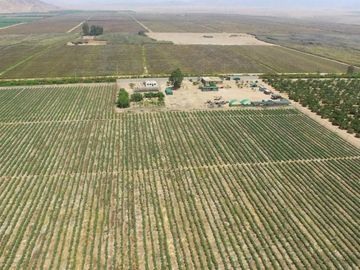 TERRENO AGRICOLA DE ALTA RENTABILIDAD CON RIEGO TECNIFICADO Y SUBESTACION PROPIA