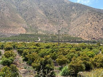 Petorca, vende parcela en producción con abundante agua inscrita