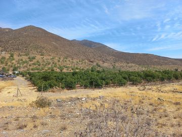 Petorca, vende parcela en producción con abundante agua inscrita