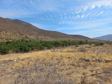 Petorca, vende parcela en producción con abundante agua inscrita