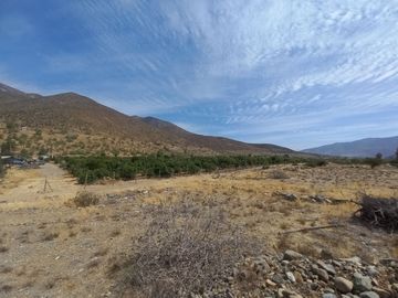 Petorca, vende parcela en producción con abundante agua inscrita