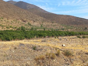 Petorca, vende parcela en producción con abundante agua inscrita