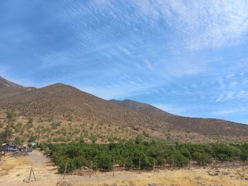 Petorca, vende parcela en producción con abundante agua inscrita