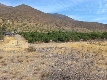 Petorca, vende parcela en producción con abundante agua inscrita
