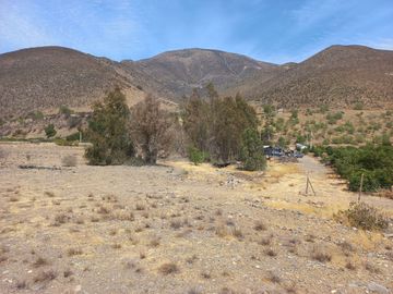 Petorca, vende parcela en producción con abundante agua inscrita