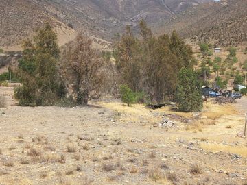 Petorca, vende parcela en producción con abundante agua inscrita
