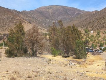 Petorca, vende parcela en producción con abundante agua inscrita