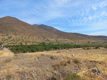 Petorca, vende parcela en producción con abundante agua inscrita