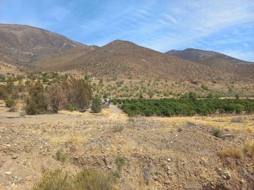 Petorca, vende parcela en producción con abundante agua inscrita