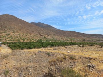 Petorca, vende parcela en producción con abundante agua inscrita