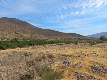 Petorca, vende parcela en producción con abundante agua inscrita