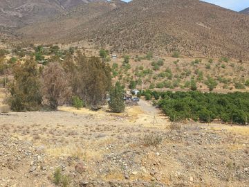 Petorca, vende parcela en producción con abundante agua inscrita