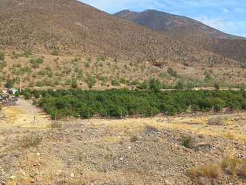 Petorca, vende parcela en producción con abundante agua inscrita