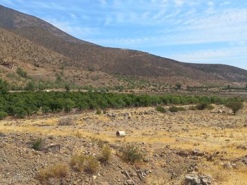 Petorca, vende parcela en producción con abundante agua inscrita