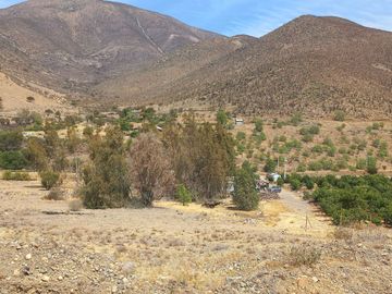 Petorca, vende parcela en producción con abundante agua inscrita