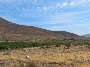 Petorca, vende parcela en producción con abundante agua inscrita