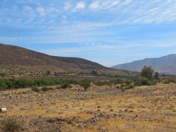 Petorca, vende parcela en producción con abundante agua inscrita