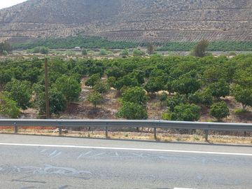 Petorca, vende parcela en producción con abundante agua inscrita