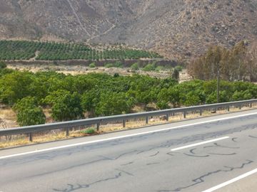 Petorca, vende parcela en producción con abundante agua inscrita