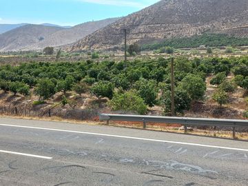 Petorca, vende parcela en producción con abundante agua inscrita