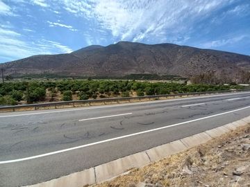 Petorca, vende parcela en producción con abundante agua inscrita