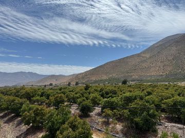 Petorca, vende parcela en producción con abundante agua inscrita