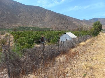 Petorca, vende parcela en producción con abundante agua inscrita