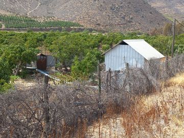 Petorca, vende parcela en producción con abundante agua inscrita