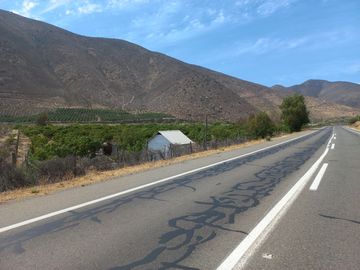 Petorca, vende parcela en producción con abundante agua inscrita