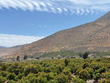 Petorca, vende parcela en producción con abundante agua inscrita