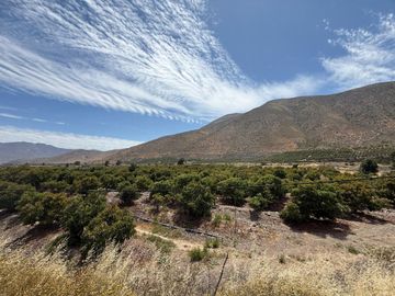 Petorca, vende parcela en producción con abundante agua inscrita
