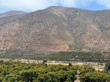 Petorca, vende parcela en producción con abundante agua inscrita