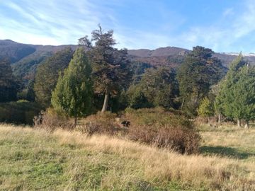 VENDO 16 HECTAREAS, DISTANTE A 10 MINUTOS DE BAHÍA MURTA,  COMUNA DE IBÁÑEZ, REGIÓN DE AYSEN