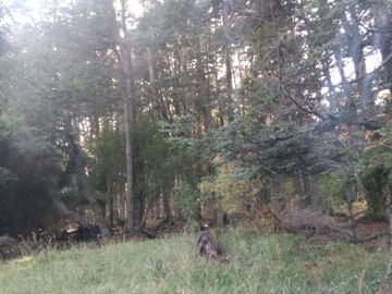 VENDO 16 HECTAREAS, DISTANTE A 10 MINUTOS DE BAHÍA MURTA,  COMUNA DE IBÁÑEZ, REGIÓN DE AYSEN