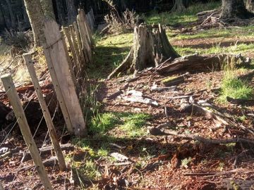 VENDO 16 HECTAREAS, DISTANTE A 10 MINUTOS DE BAHÍA MURTA,  COMUNA DE IBÁÑEZ, REGIÓN DE AYSEN
